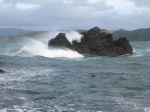 Photo: Waves near Akaroa, New Zealand